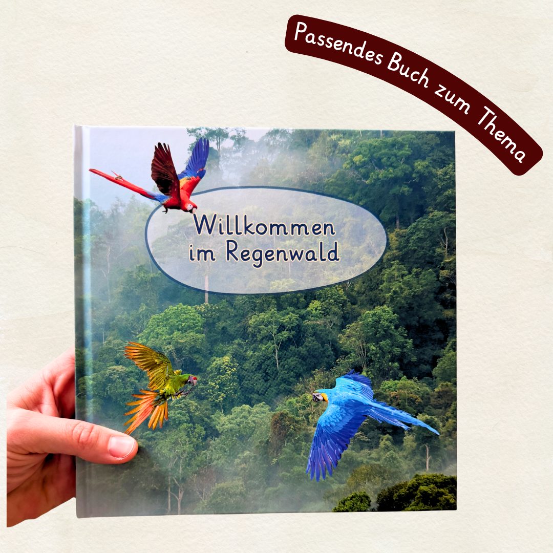 Kinderbuch über den Regenwald und seine Tiere