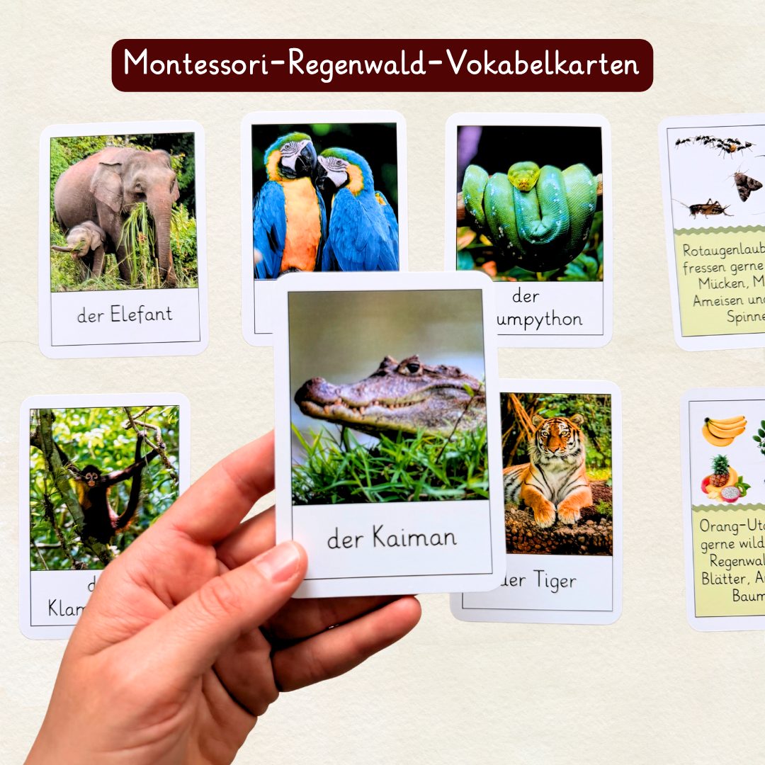 Wortschatzkarten mit echten Tierfotos